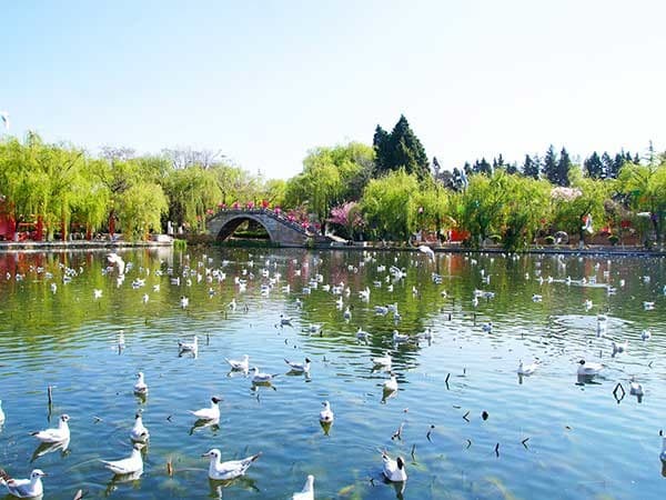 Kunming and Stone Forest 旅遊 4 日遊