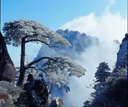 黃山風景區玉屏纜車(來回) 3
