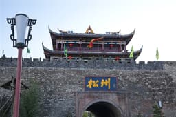成都大熊貓繁育研究基地 1
