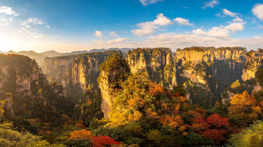 張家界秋季晴天的袁家界峰林全景，能見度全年最高，是攝影與觀光的最佳時節