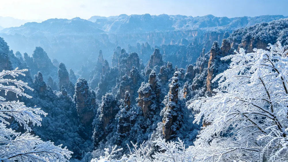 張家界冬季雪後的銀白色世界，峰林與樹枝掛滿霧凇，美麗得令人忘記寒冷