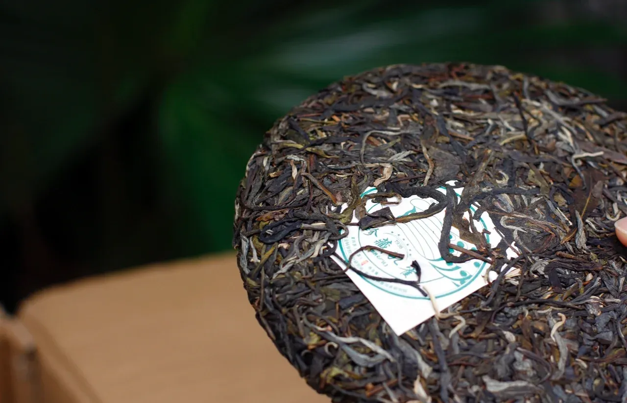 雲南普洱茶