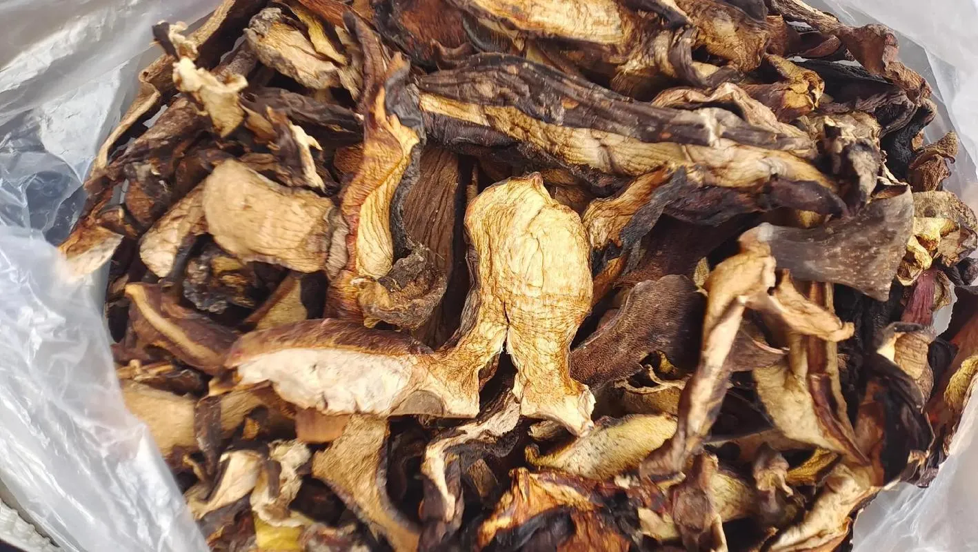 雲南野生菌乾貨