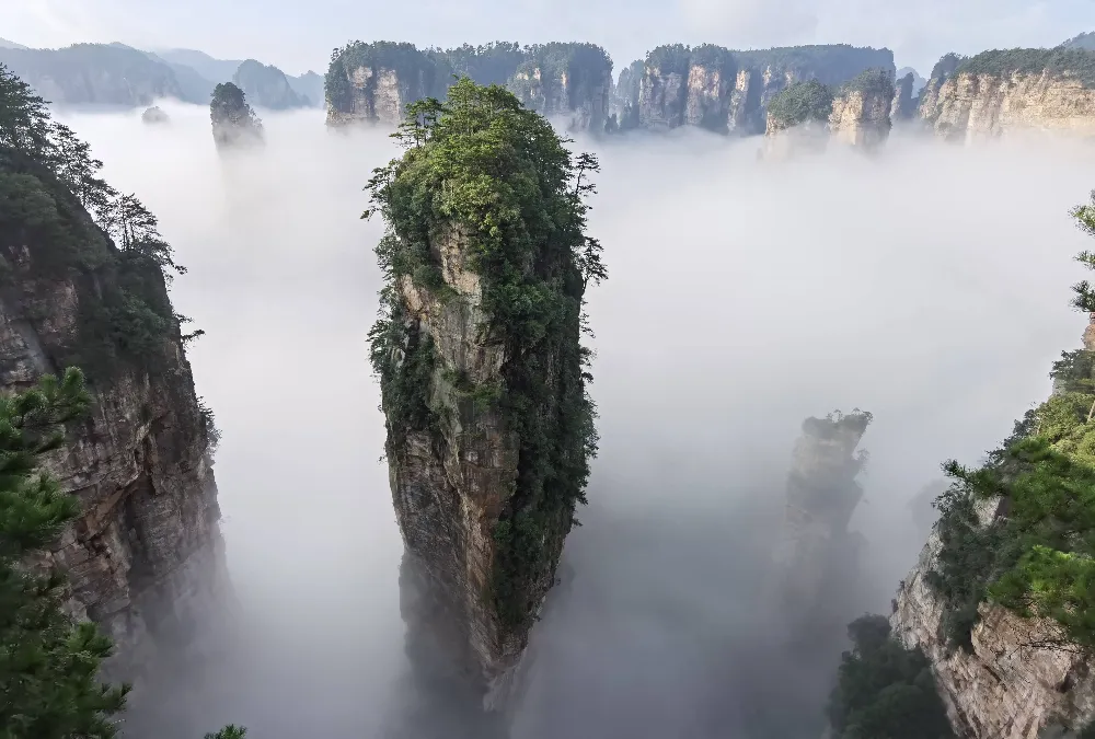 阿凡達取景地
