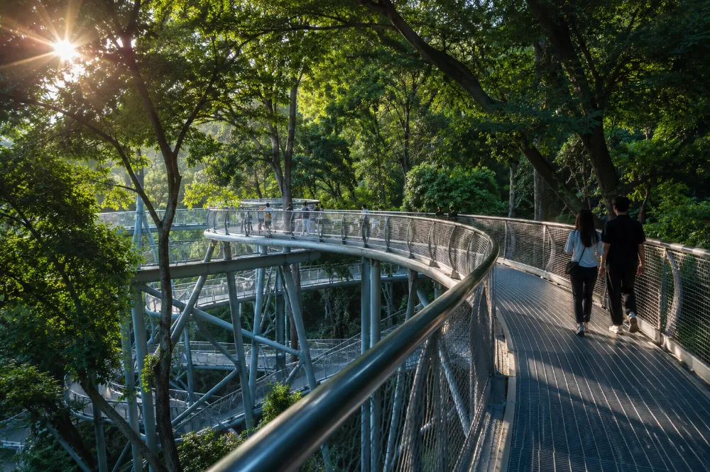 福州福道鏤空鋼架步道，穿梭樹冠之間的城市綠道體驗