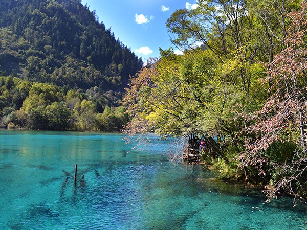 成都 - Jiuzhaigou Take a bullet train to Jiuzhaigou、 Huanglong Scenic Area