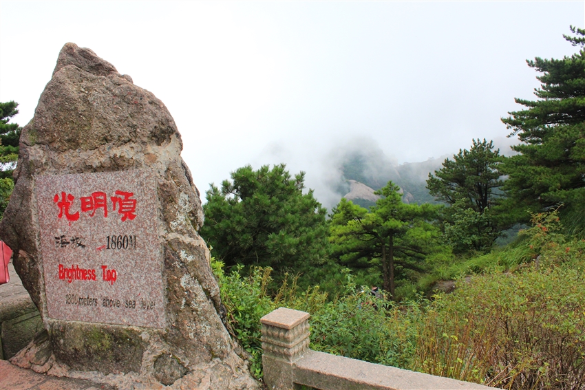迎客松